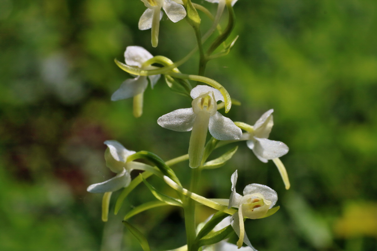 IMG-2016-06-06-00018660p_Bildgr��e �ndern