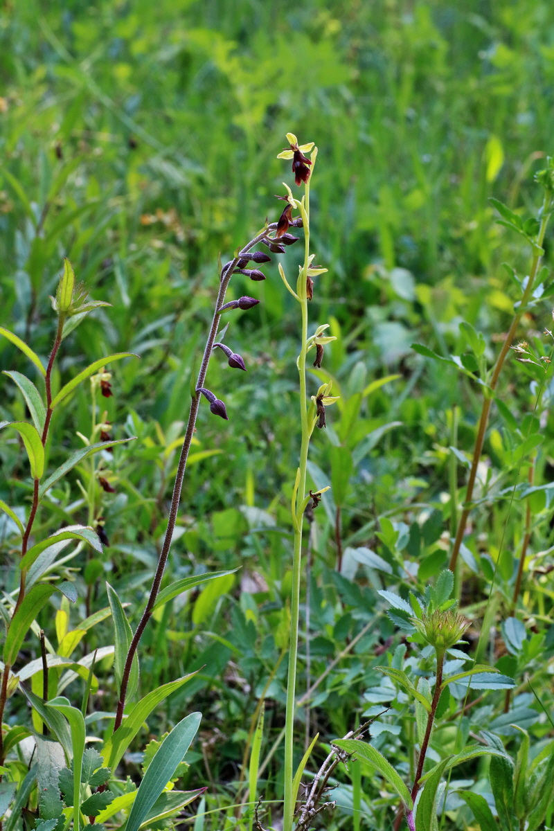 IMG-2016-06-06-00018666p_Bildgr��e �ndern