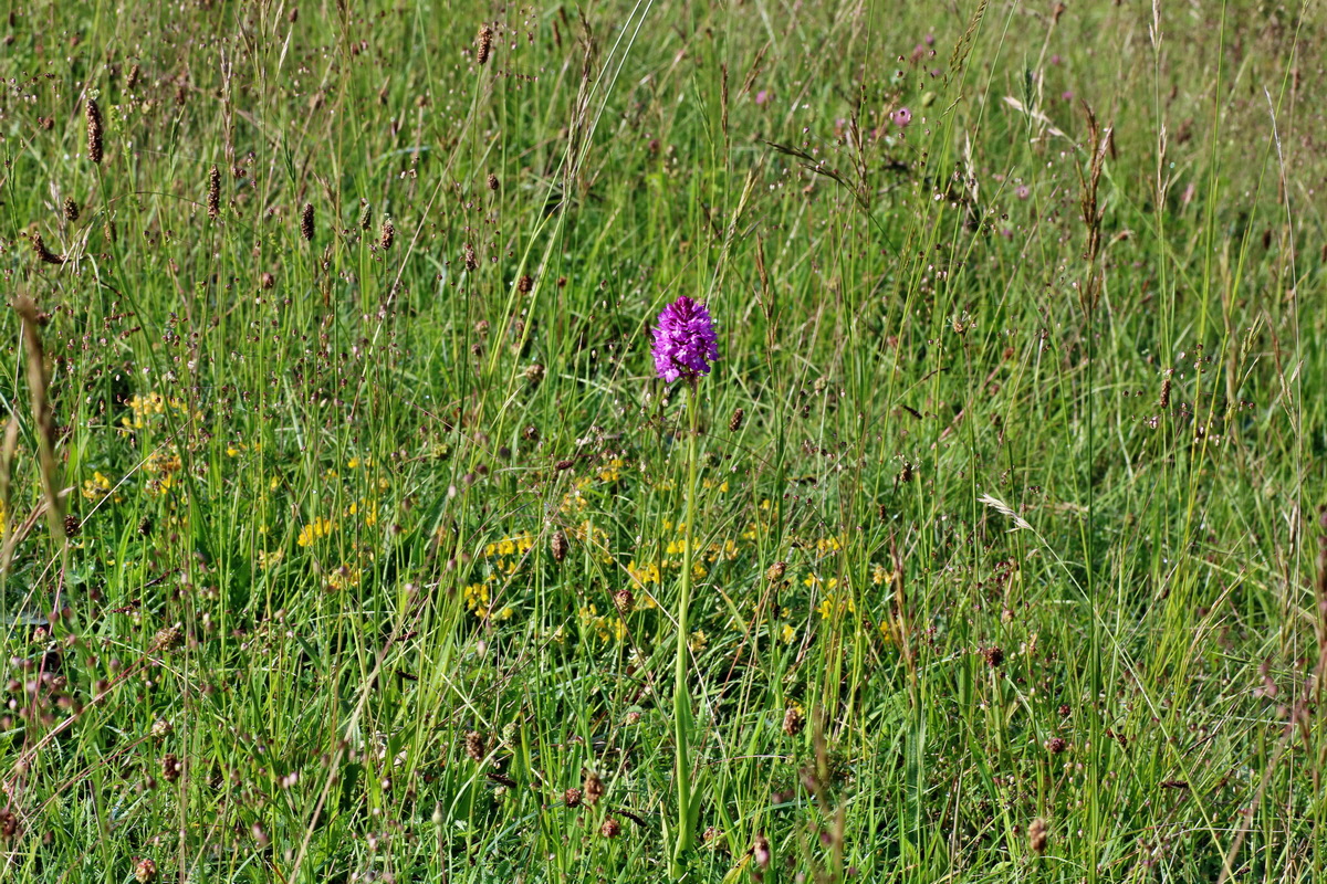 IMG-2016-06-07-00018672p_Bildgr��e �ndern