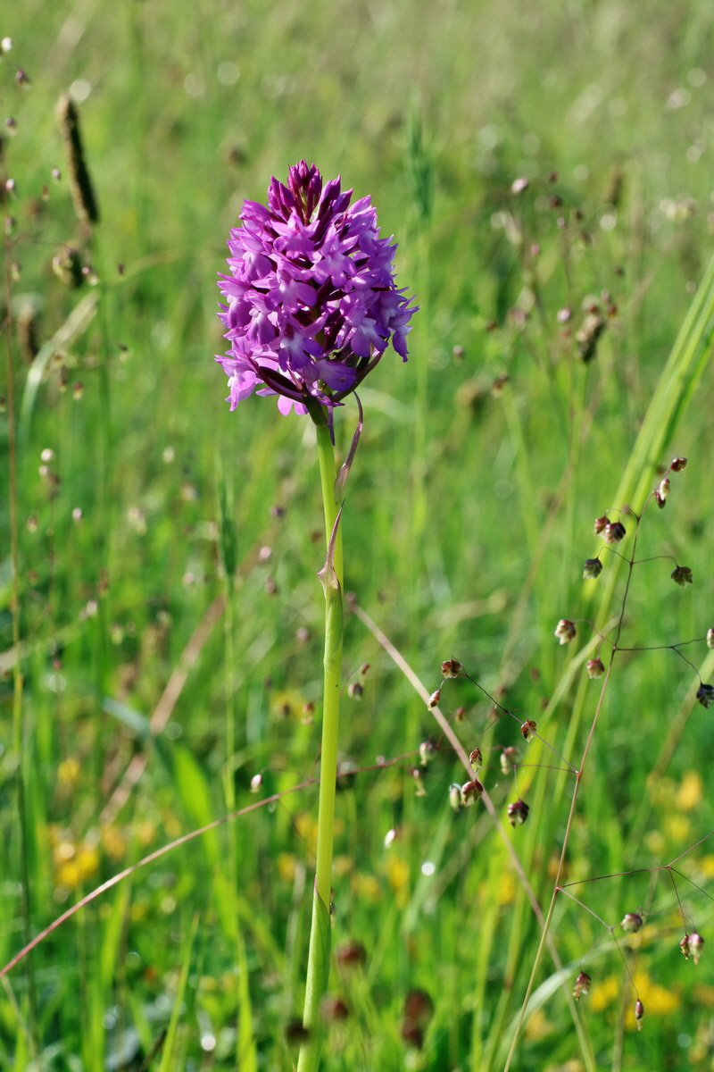 IMG-2016-06-07-00018674p_Bildgr��e �ndern