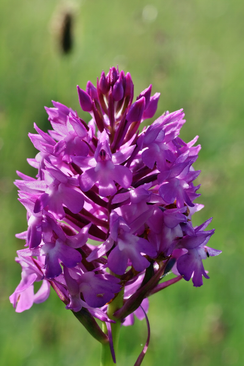 IMG-2016-06-07-00018676p_Bildgr��e �ndern