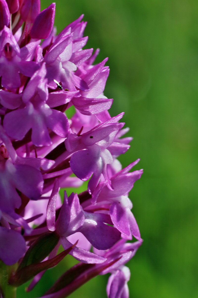 IMG-2016-06-07-00018683p_Bildgr��e �ndern