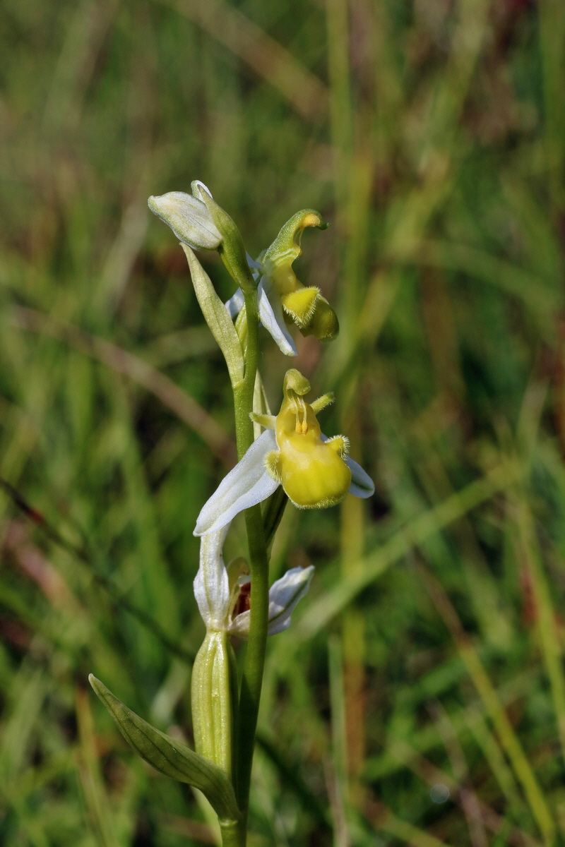 IMG-2016-06-07-00018733p_Bildgr��e �ndern