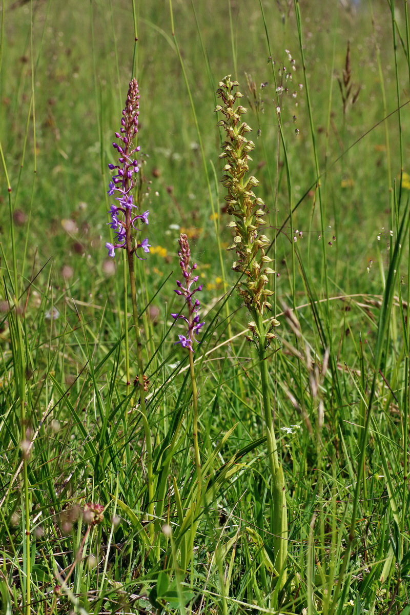 IMG-2016-06-07-00018737p_Bildgr��e �ndern