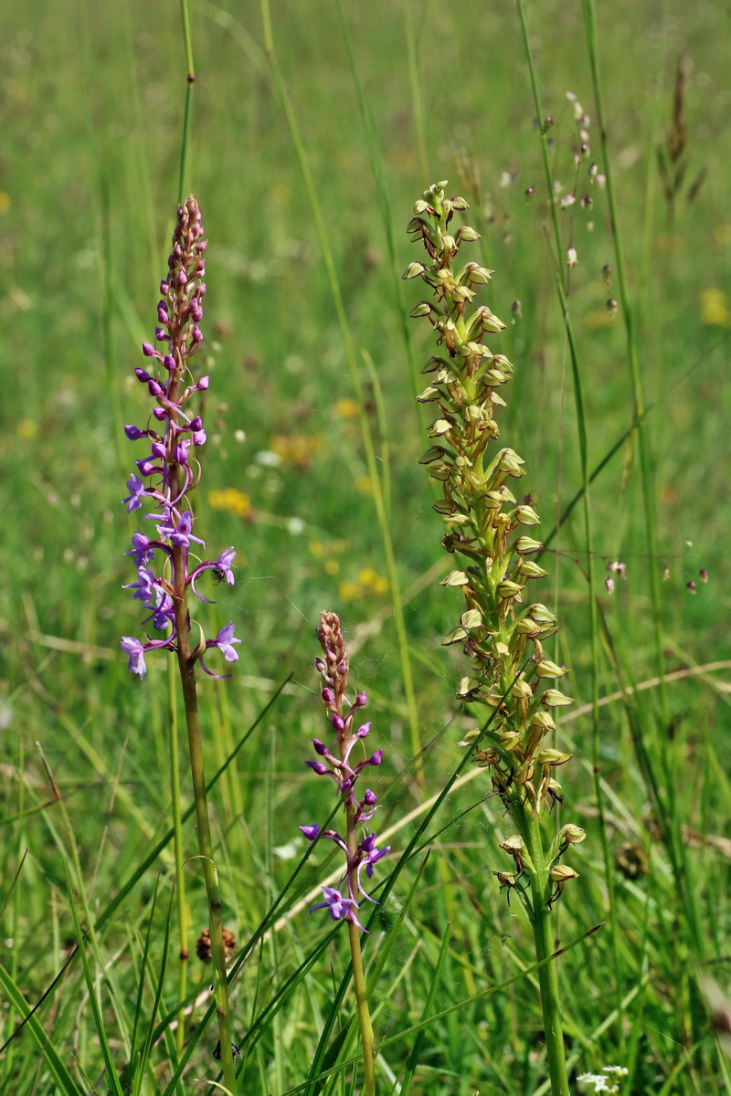 IMG-2016-06-07-00018741p_Bildgr��e �ndern