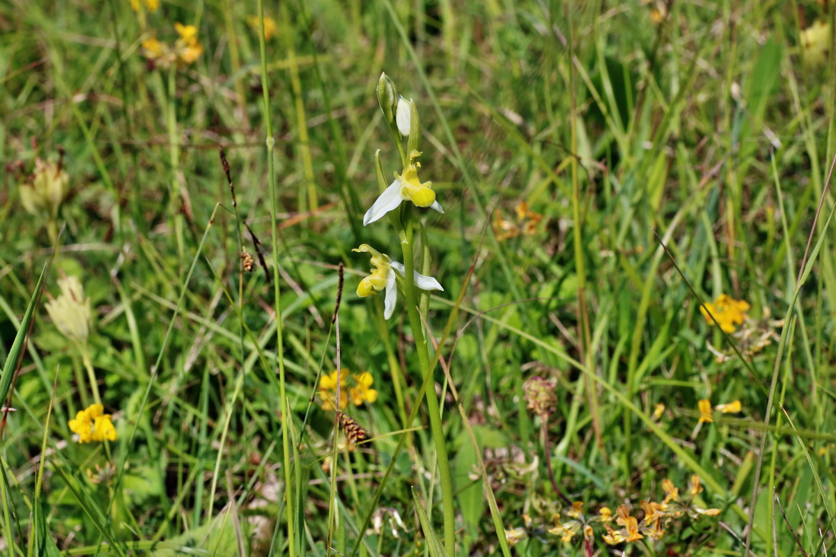 IMG-2016-06-07-00018745p_Bildgr��e �ndern