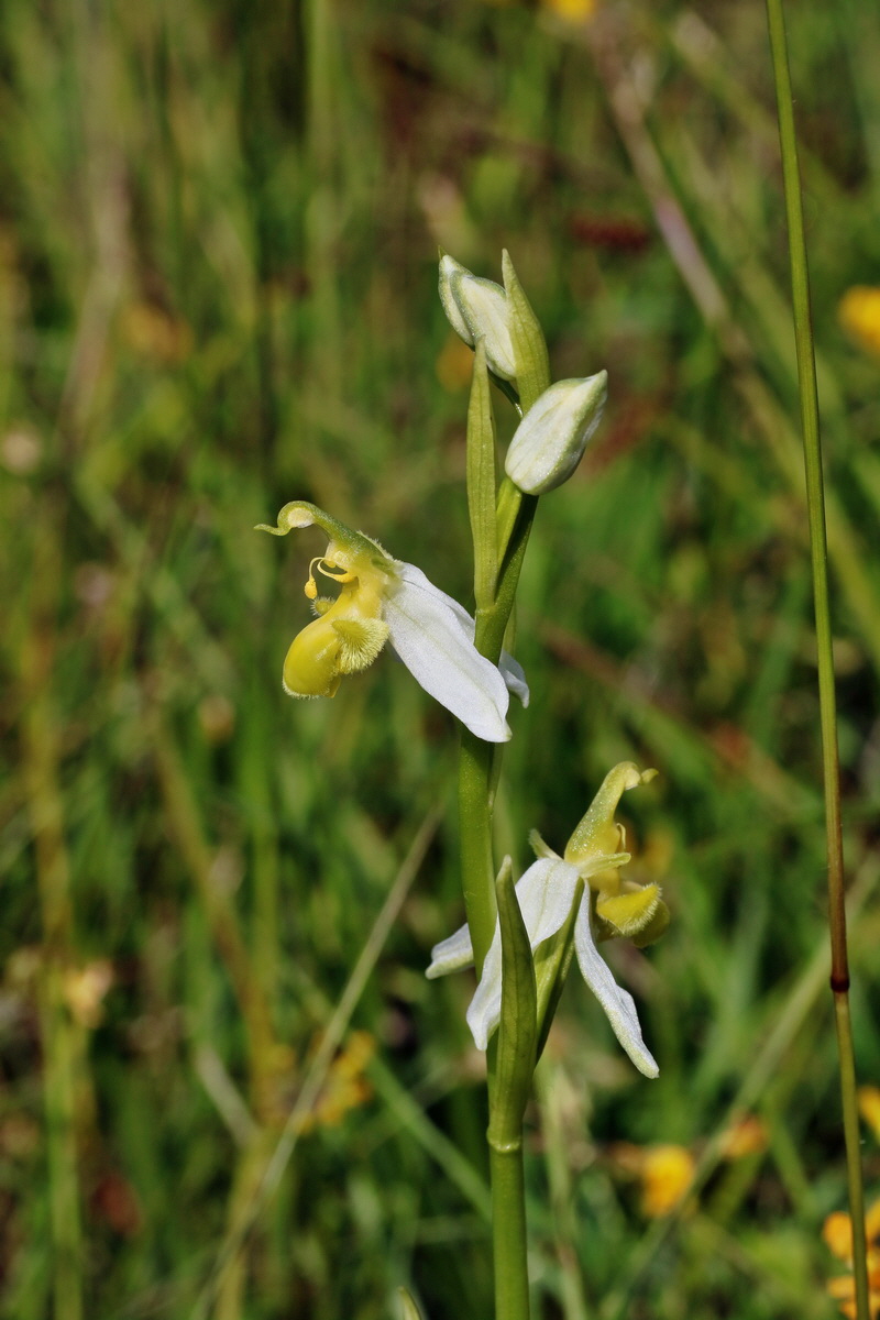 IMG-2016-06-07-00018755p_Bildgr��e �ndern