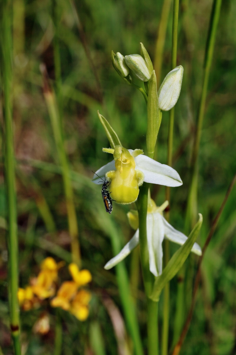 IMG-2016-06-07-00018763p_Bildgr��e �ndern