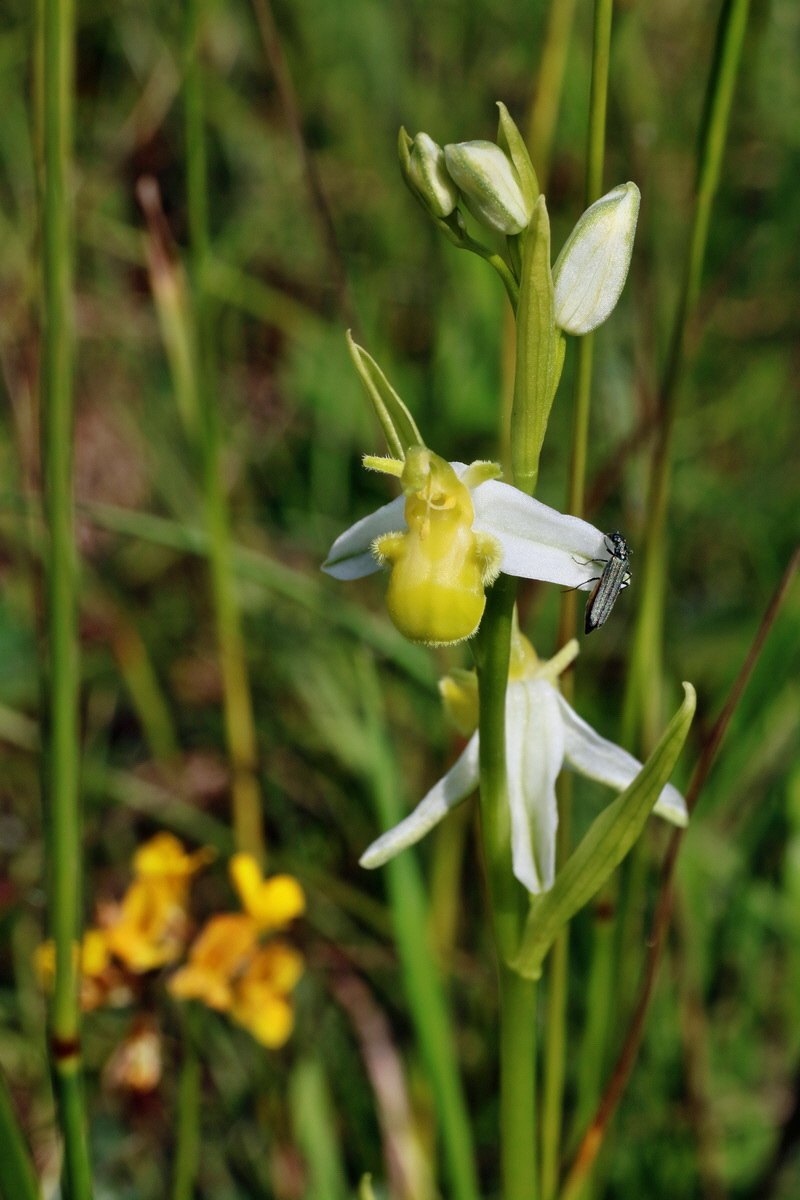 IMG-2016-06-07-00018775p_Bildgr��e �ndern