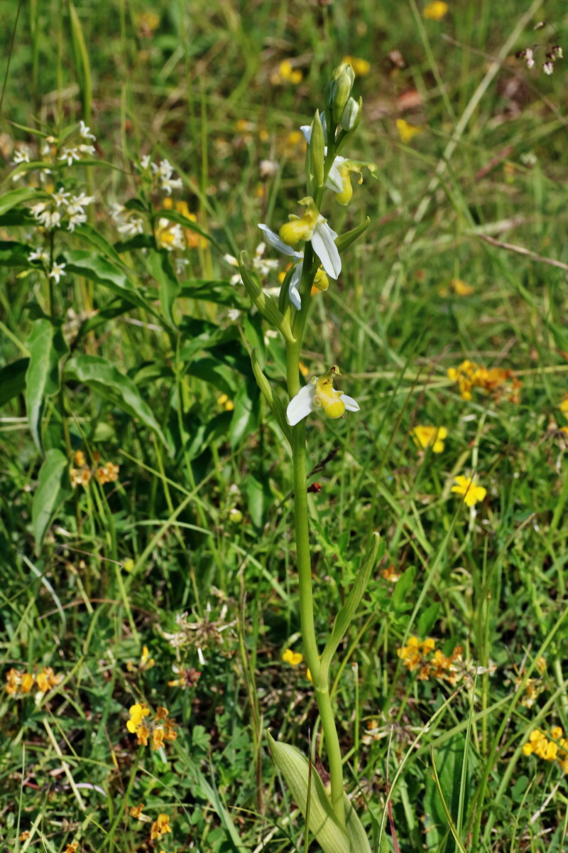 IMG-2016-06-07-00018780p_Bildgr��e �ndern