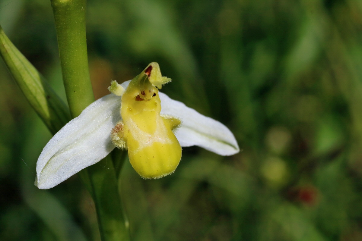 IMG-2016-06-07-00018791p_Bildgr��e �ndern