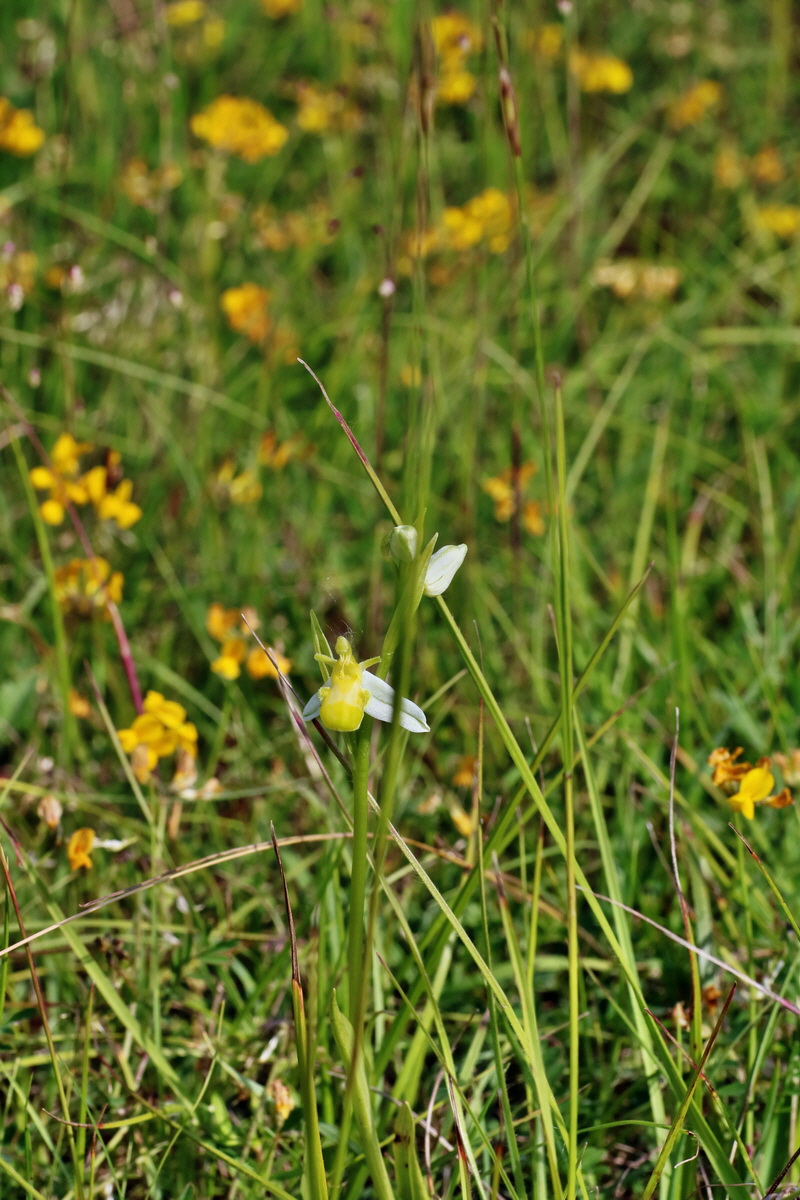 IMG-2016-06-07-00018797p_Bildgr��e �ndern