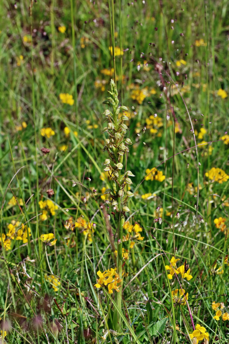 IMG-2016-06-07-00018800p_Bildgr��e �ndern