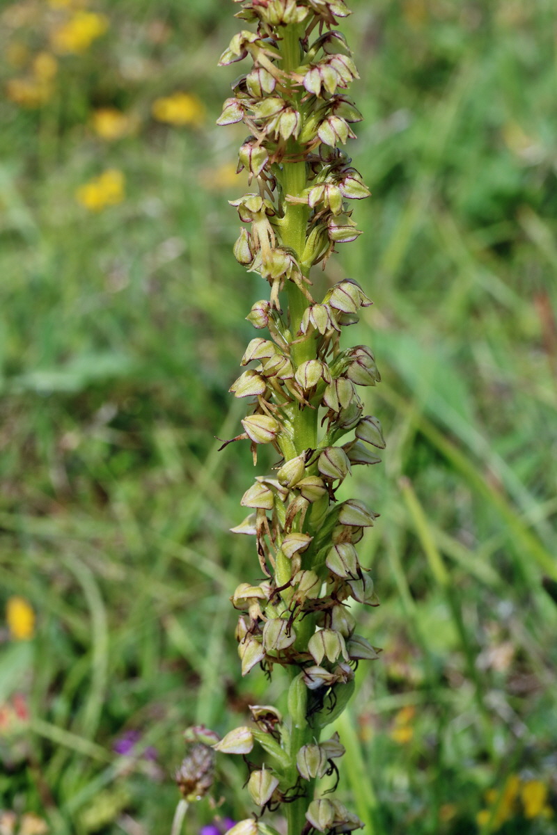 IMG-2016-06-07-00018811p_Bildgr��e �ndern