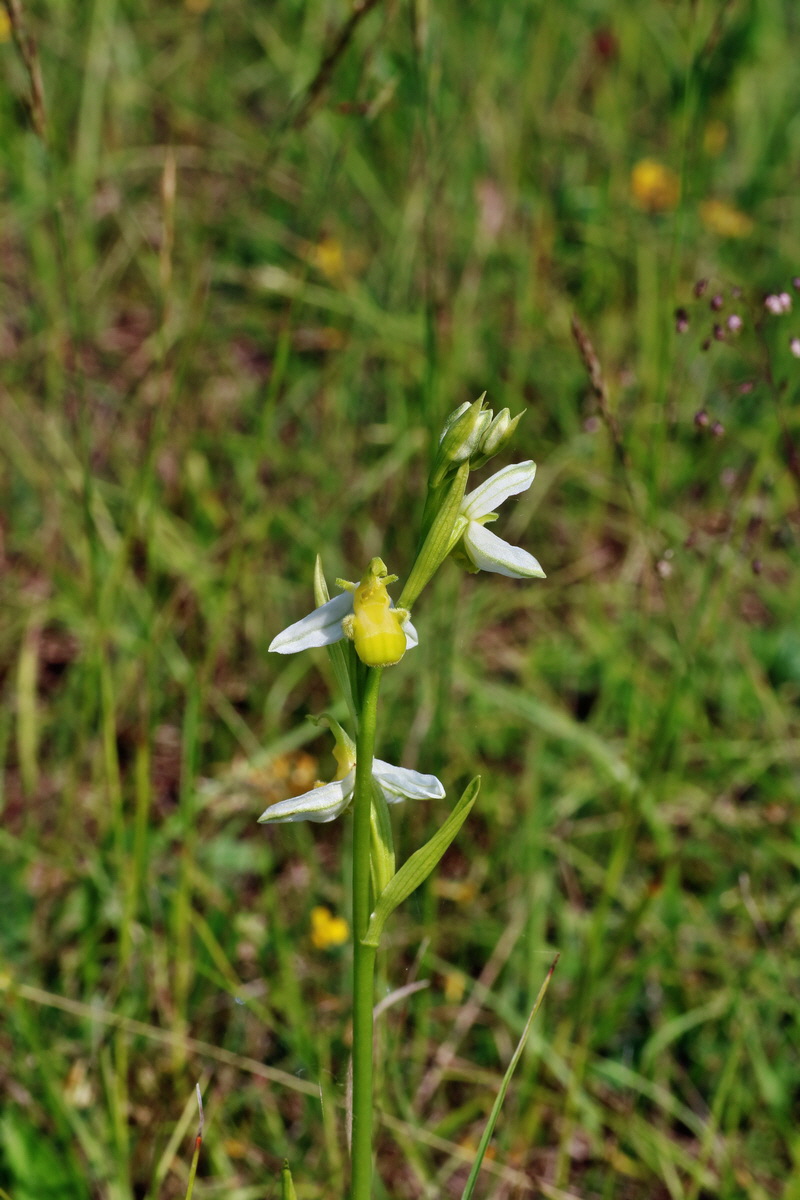 IMG-2016-06-07-00018812p_Bildgr��e �ndern