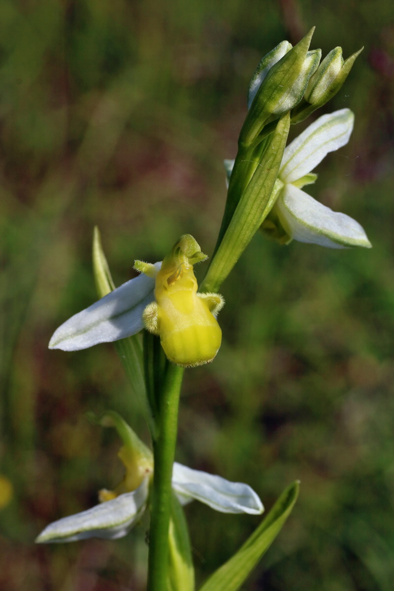 IMG-2016-06-07-00018815p_Bildgr��e �ndern