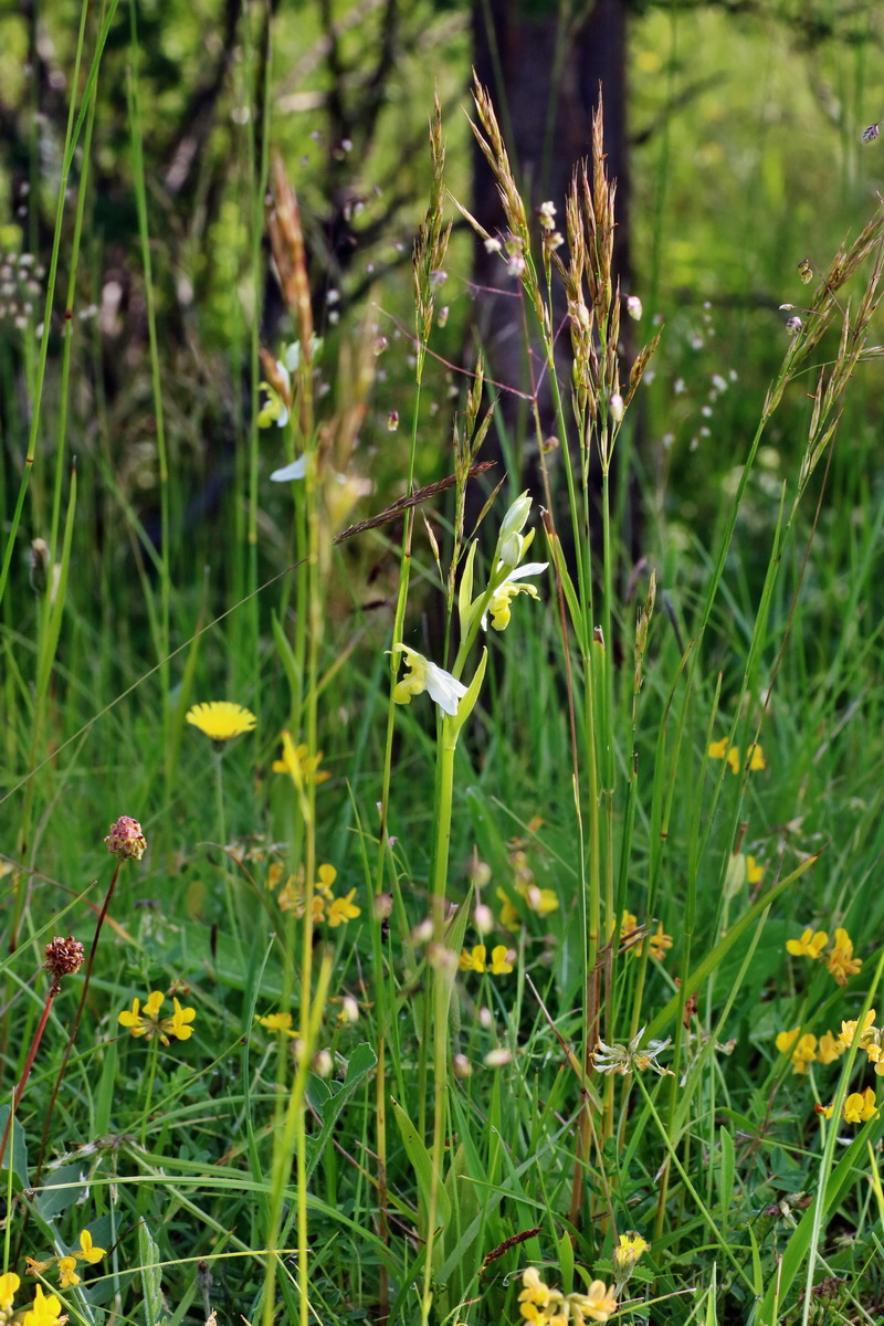 IMG-2016-06-07-00018822p_Bildgr��e �ndern