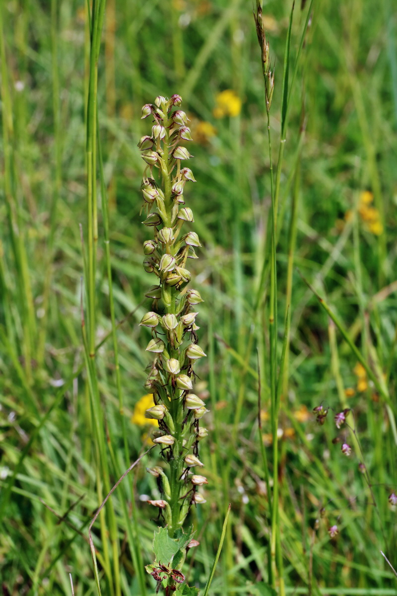 IMG-2016-06-07-00018835p_Bildgr��e �ndern