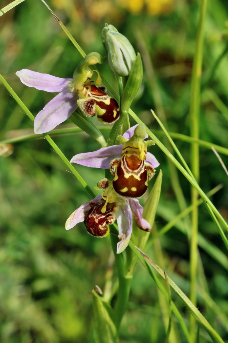 IMG-2016-06-07-00018844p_Bildgr��e �ndern