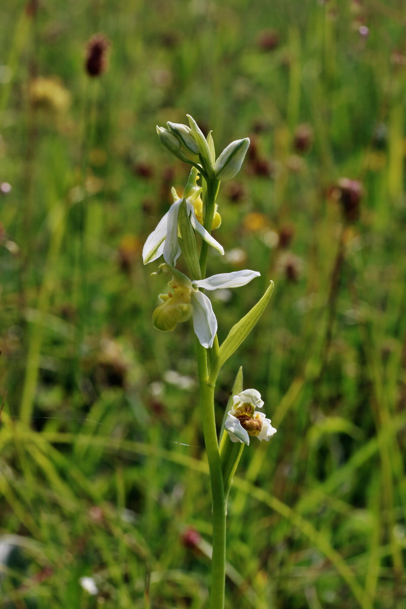 IMG-2016-06-07-00018857p_Bildgr��e �ndern