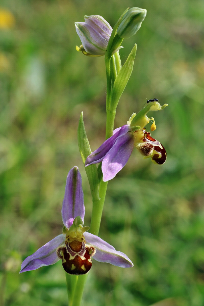 IMG-2016-06-07-00018861p_Bildgr��e �ndern