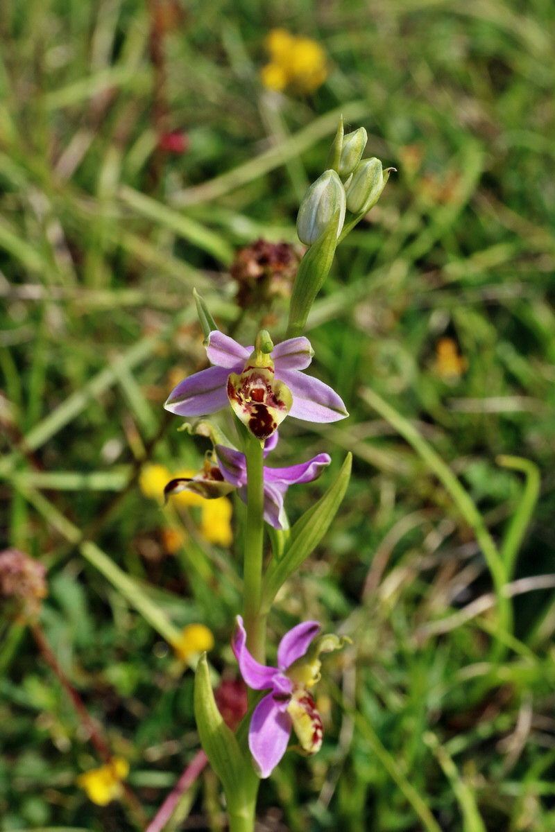 IMG-2016-06-07-00018866p_Bildgr��e �ndern