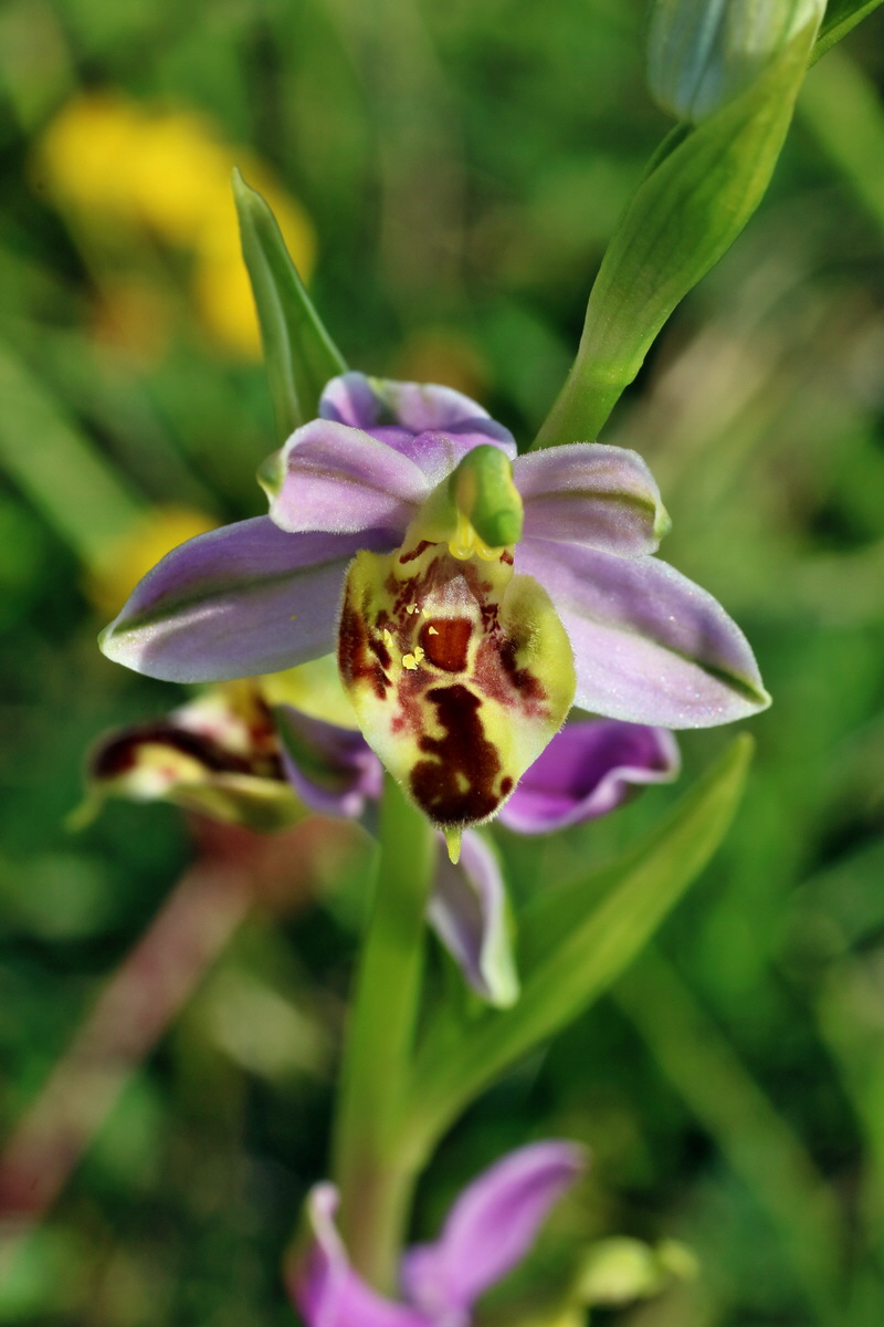 IMG-2016-06-07-00018869p_Bildgr��e �ndern