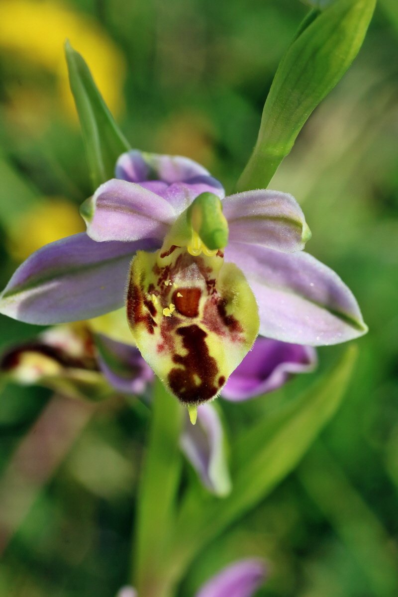 IMG-2016-06-07-00018876p_Bildgr��e �ndern