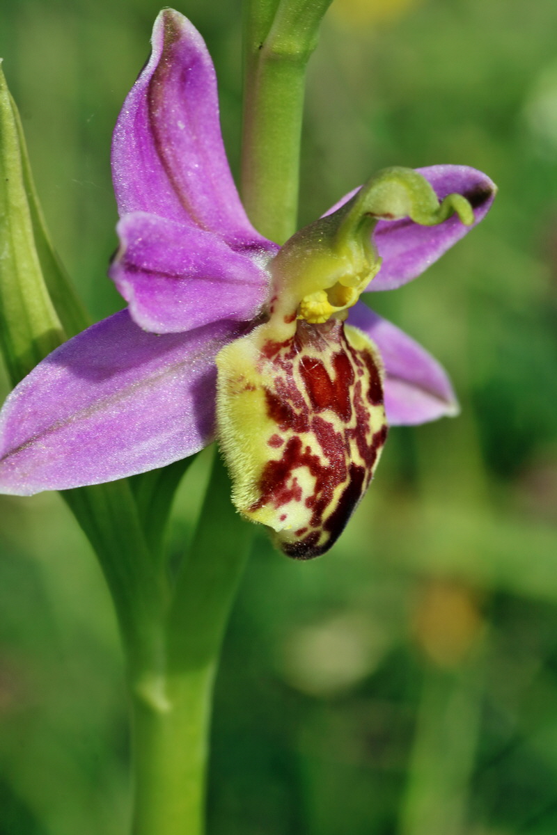 IMG-2016-06-07-00018884p_Bildgr��e �ndern