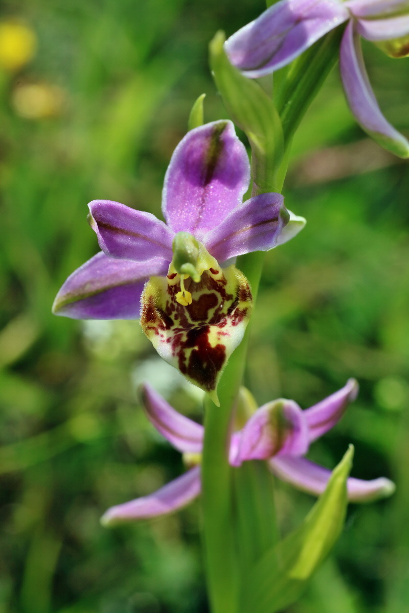 IMG-2016-06-07-00018894p_Bildgr��e �ndern