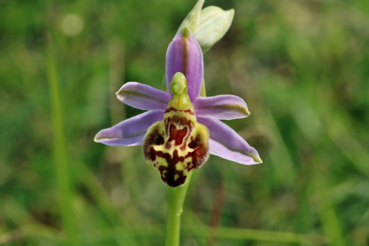 IMG-2016-06-07-00018903p_Bildgr��e �ndern