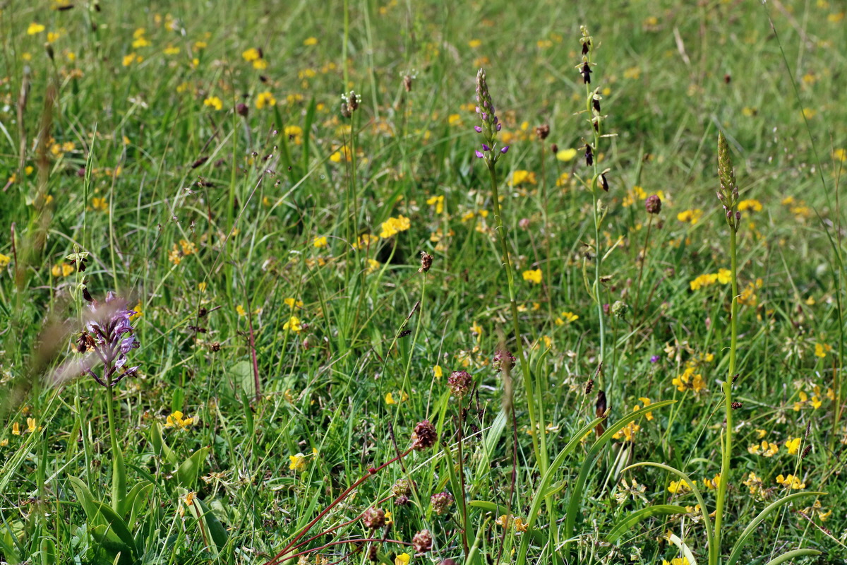 IMG-2016-06-07-00018921p_Bildgr��e �ndern