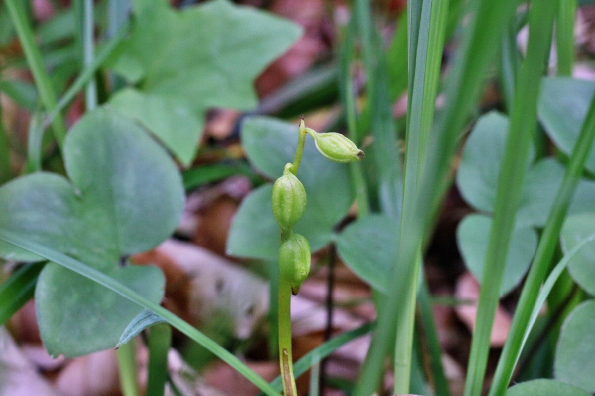 IMG-2016-06-07-00018924p_Bildgr��e �ndern