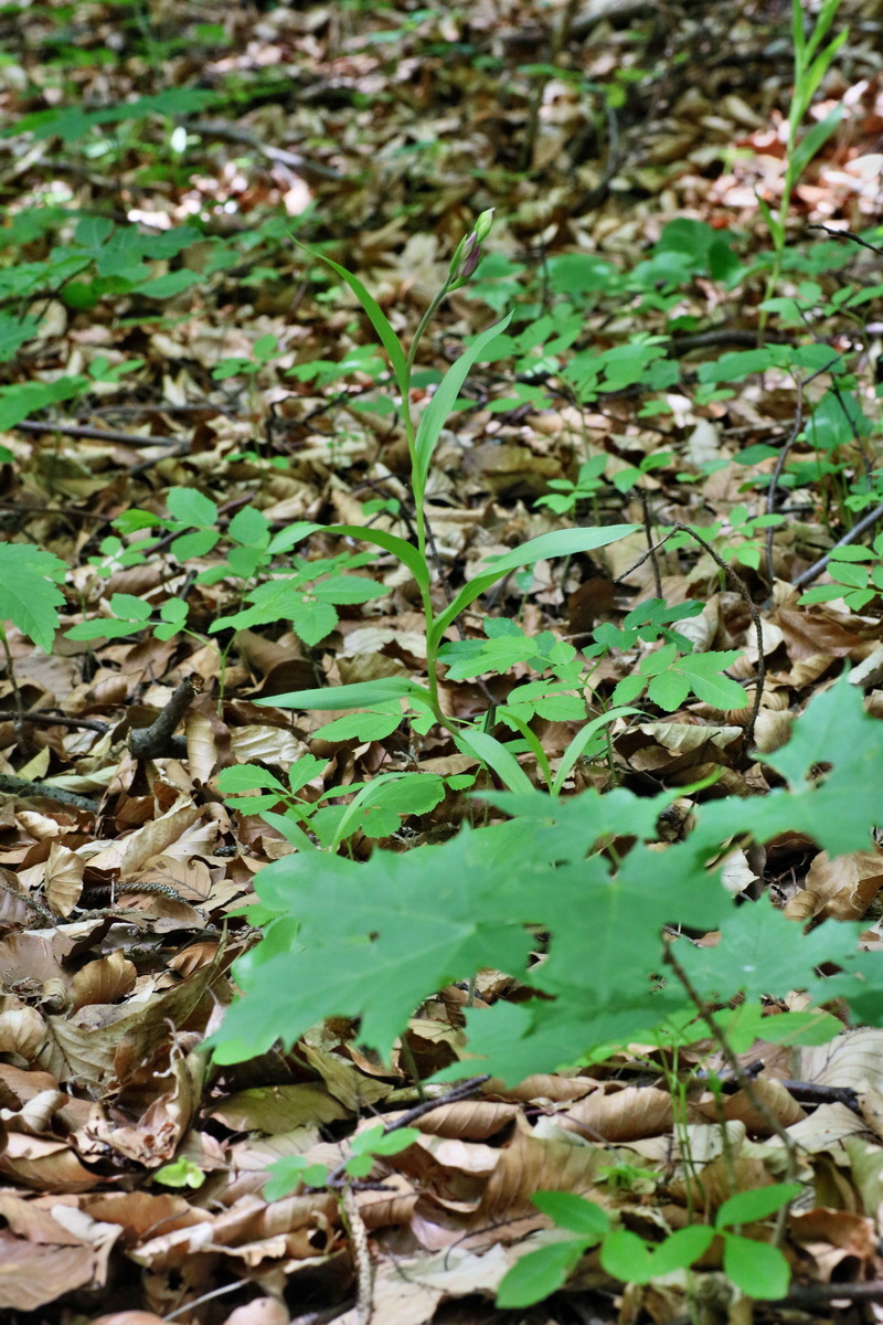 IMG-2016-06-07-00018930p_Bildgr��e �ndern