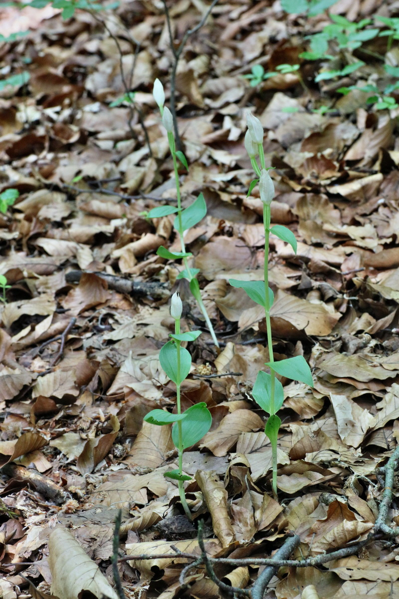 IMG-2016-06-07-00018944p_Bildgr��e �ndern