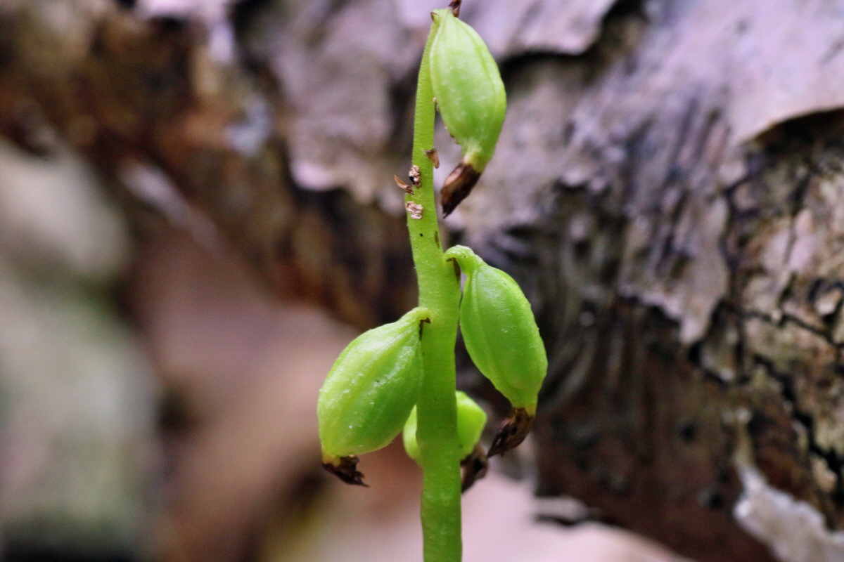 IMG-2016-06-07-00018948p_Bildgr��e �ndern