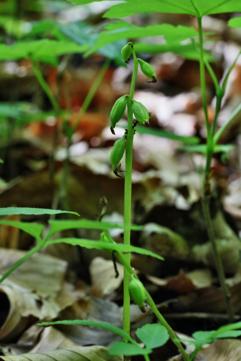 IMG-2016-06-07-00018952p_Bildgr��e �ndern