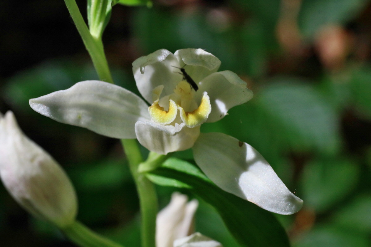 IMG-2016-06-07-00018958p_Bildgr��e �ndern