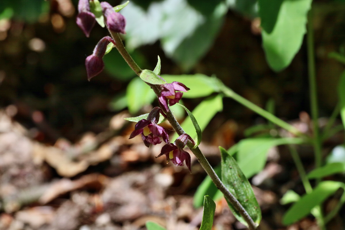 IMG-2016-06-07-00018964p_Bildgr��e �ndern