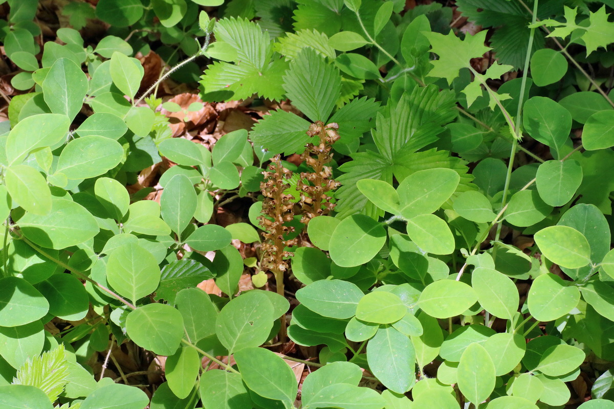 IMG-2016-06-07-00018966p_Bildgr��e �ndern