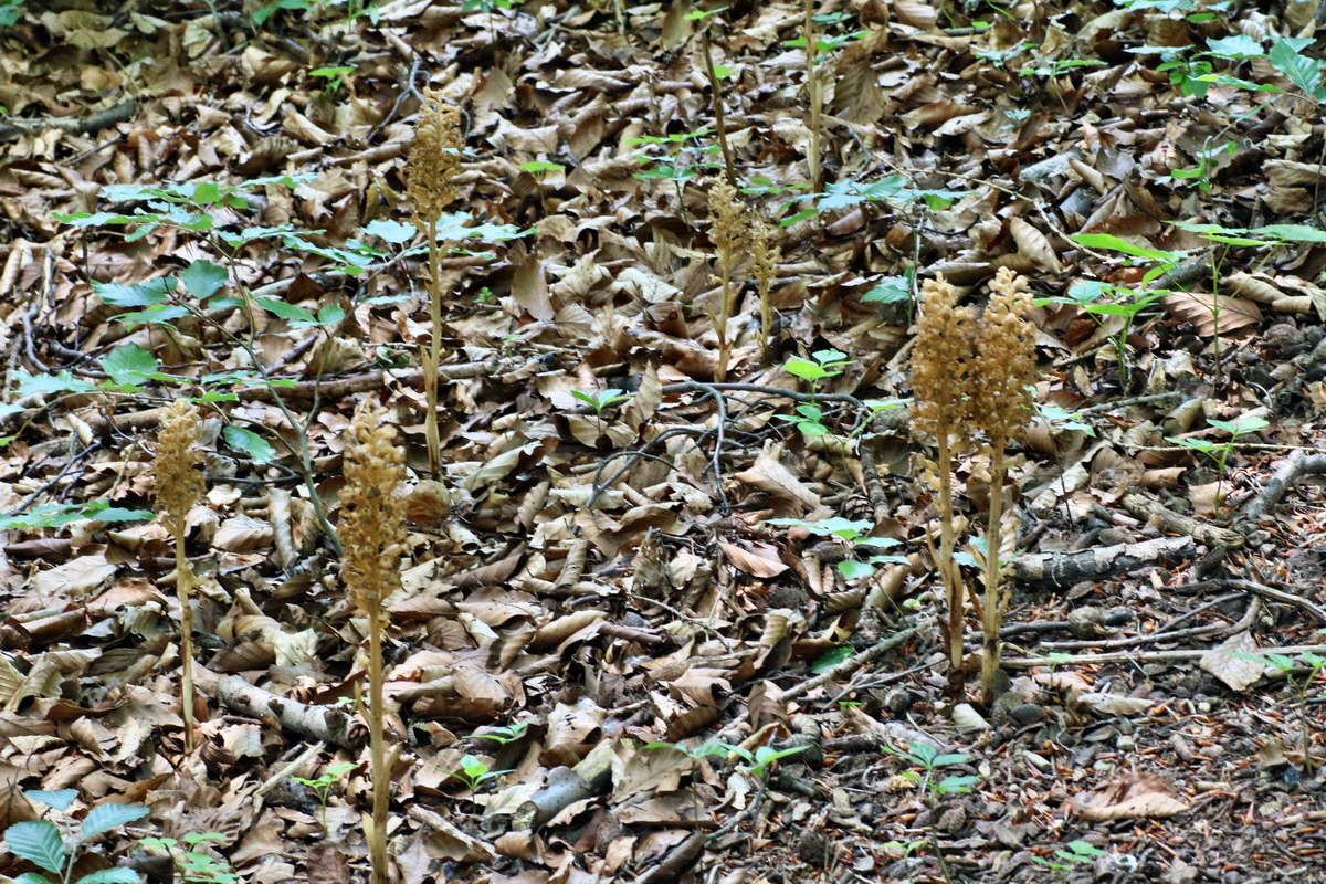 IMG-2016-06-07-00018972p_Bildgr��e �ndern