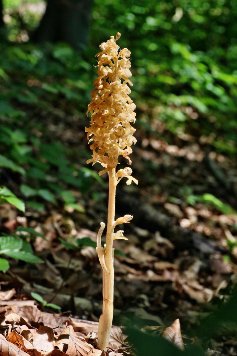 IMG-2016-06-07-00018977p_Bildgr��e �ndern