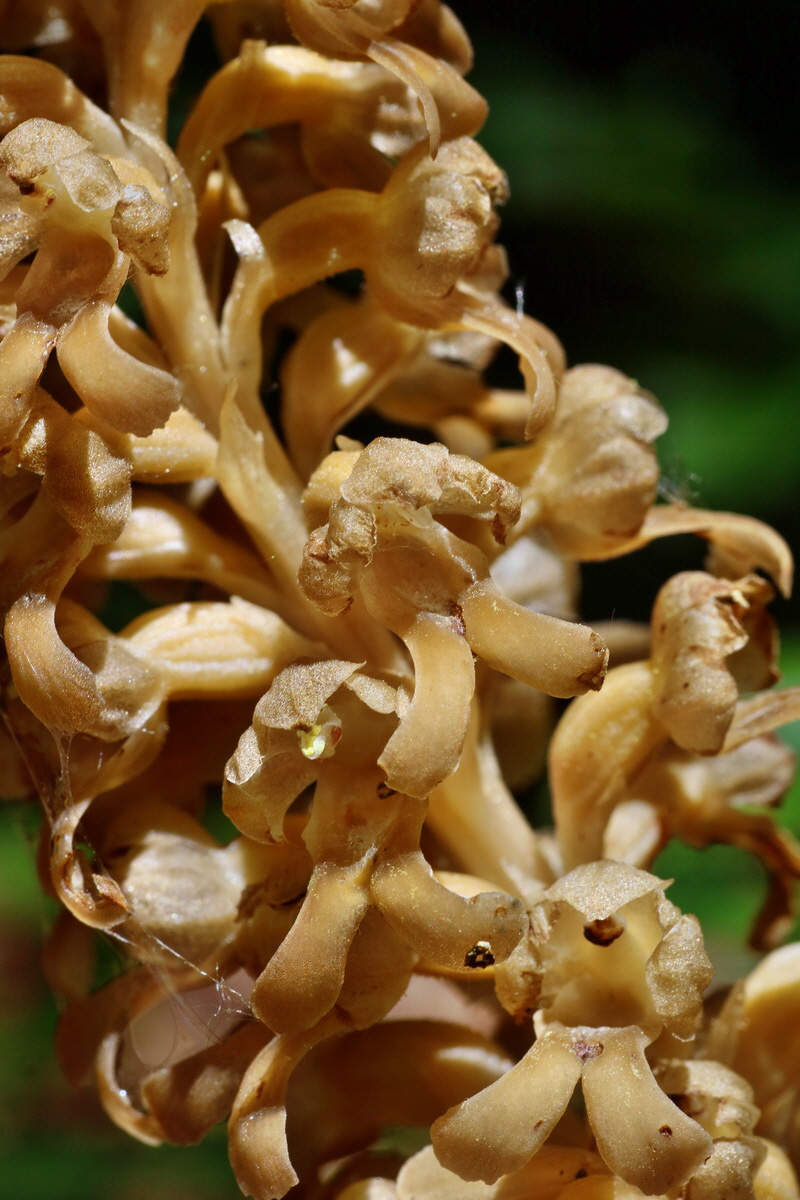 IMG-2016-06-07-00018985p_Bildgr��e �ndern