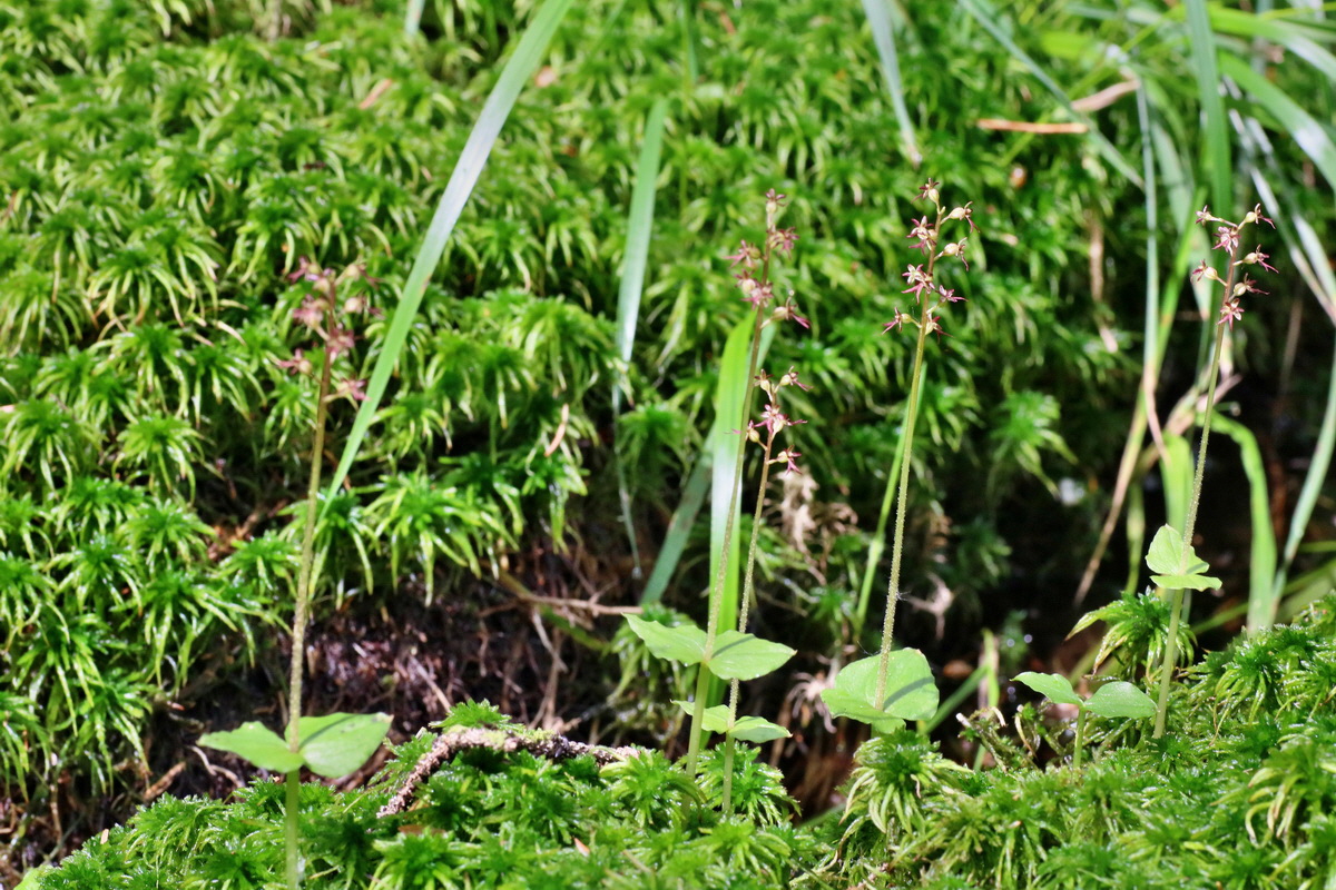 IMG-2016-06-12-00018989p_Bildgr��e �ndern