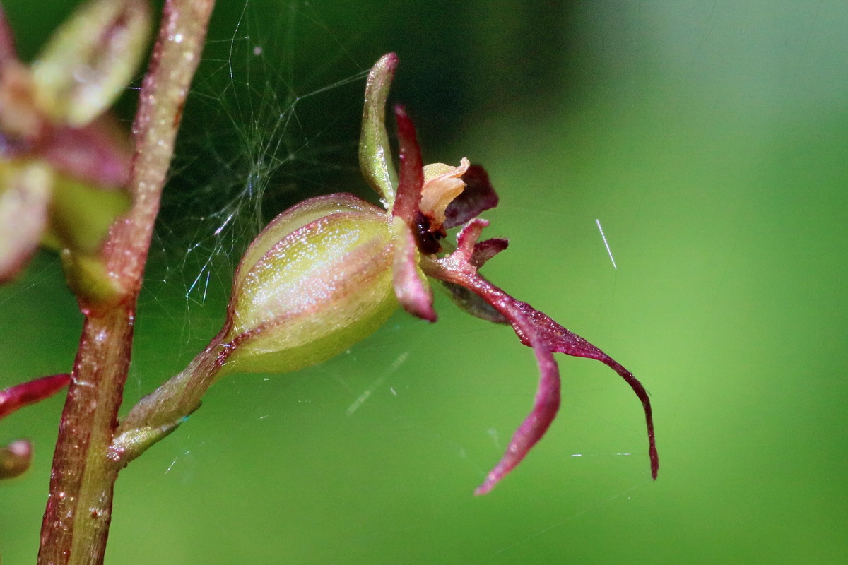 IMG-2016-06-12-00018990ap_Bildgr��e �ndern