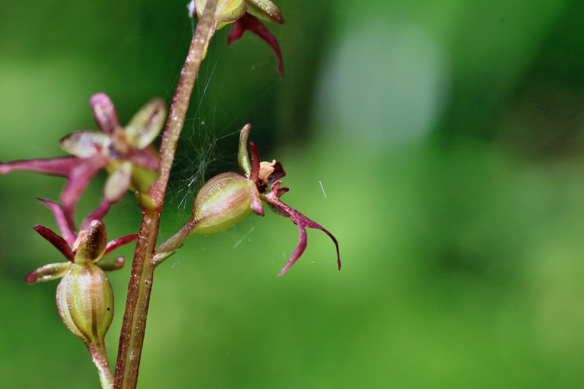 IMG-2016-06-12-00018990p_Bildgr��e �ndern