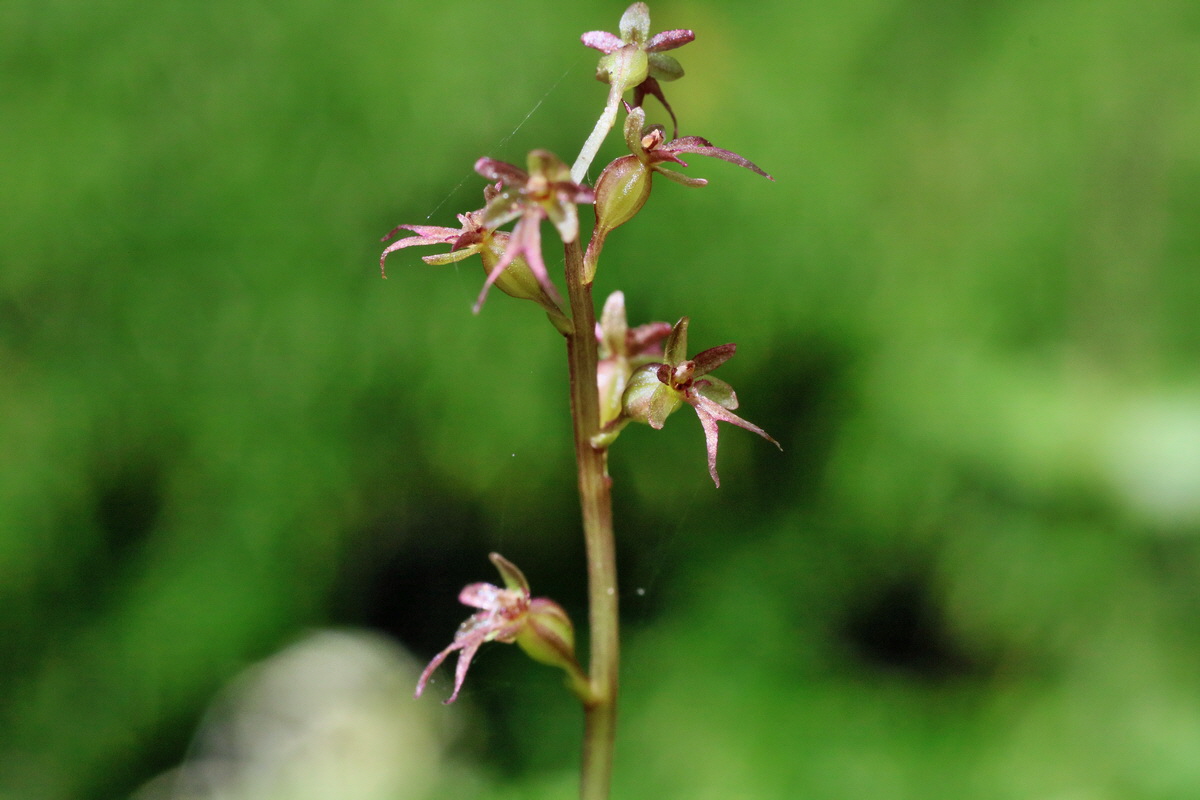 IMG-2016-06-12-00018994p_Bildgr��e �ndern