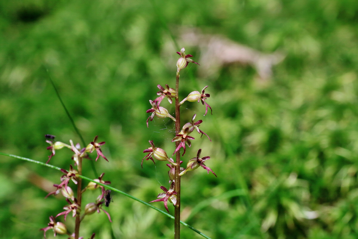 IMG-2016-06-12-00019000p_Bildgr��e �ndern