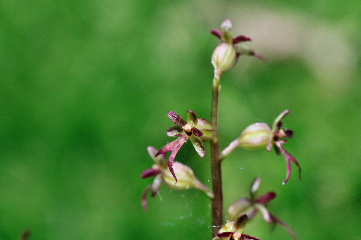 IMG-2016-06-12-00019005p_Bildgr��e �ndern