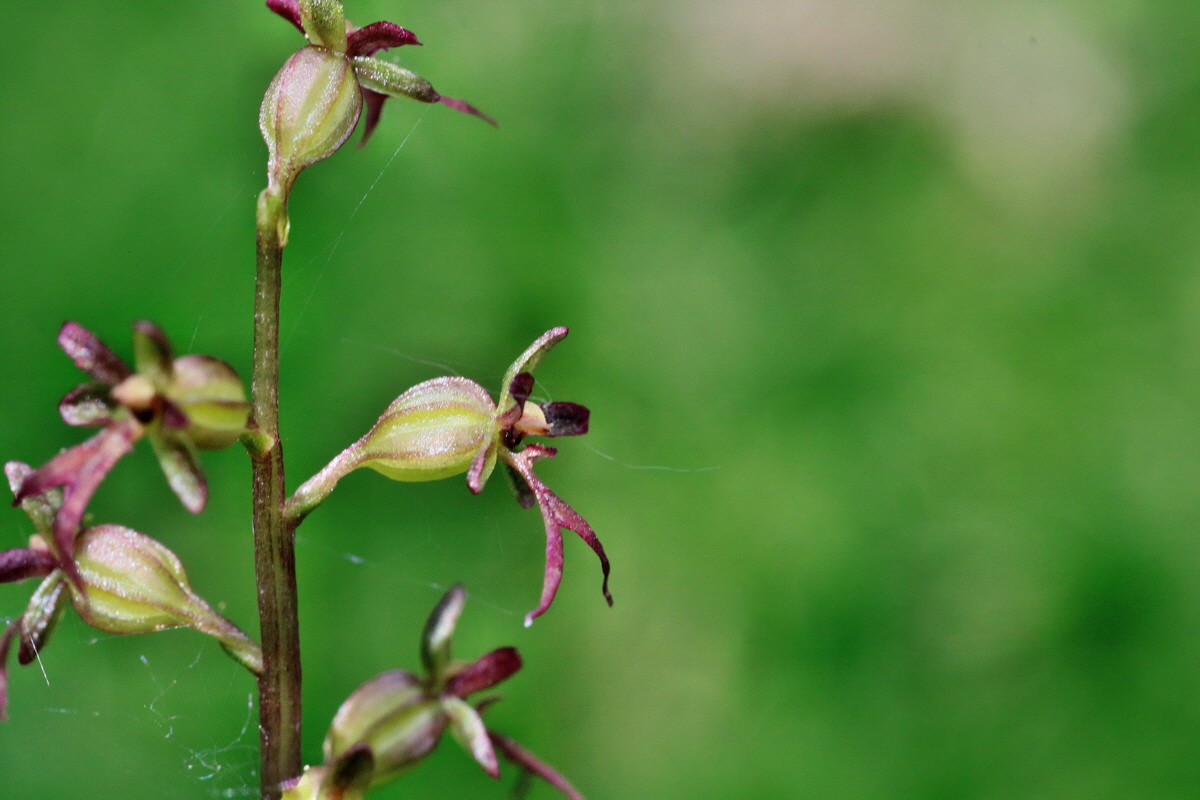 IMG-2016-06-12-00019006p_Bildgr��e �ndern